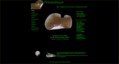 Desktop Screenshot of potamotrygon.de