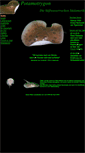 Mobile Screenshot of potamotrygon.de